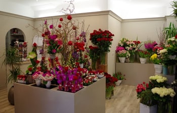 Wendy Designer Floral